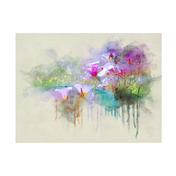 Chris Vest 'Sego Lilies' Canvas Art