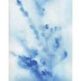 thumbnail image 3 of Craven, Katrina 15x18 Black Modern Framed Museum Art Print Titled - Misty Meadow Flowers, 3 of 5