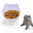 thumbnail image 4 of 15 degree Tilted Elevated Cat Bowls Feeding Station with Stand Non Raised Dish Water Food Bowls for Indoor Cats, Small Medium Large Dog, Bowl, 4 of 7