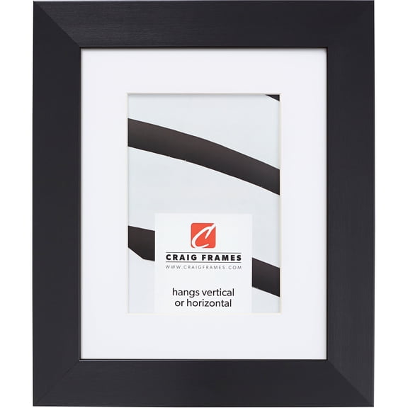 Craig Frames Modern Aesthetics 150, 22x28 inch Picture Frame Matted for a 18x24 Photo, Black