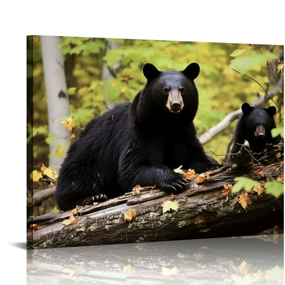 EastSmooth Canvas Wall Art Decor Black Bear Pictures Poster Print Animal Prints Wall Decor With Framed