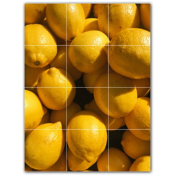 Picture-Tiles.com: Fruit Ceramic Tile Wall Mural WAL500669-34XL. 36"W x 48"H using (12) 12" x 12" Ceramic Tiles-Satin Finish