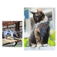 thumbnail image 4 of Cats Harness Leash Large for Small Cats No Pull with Leash Adjustable Clip Comfortable and Secure Buckles, 4 of 8