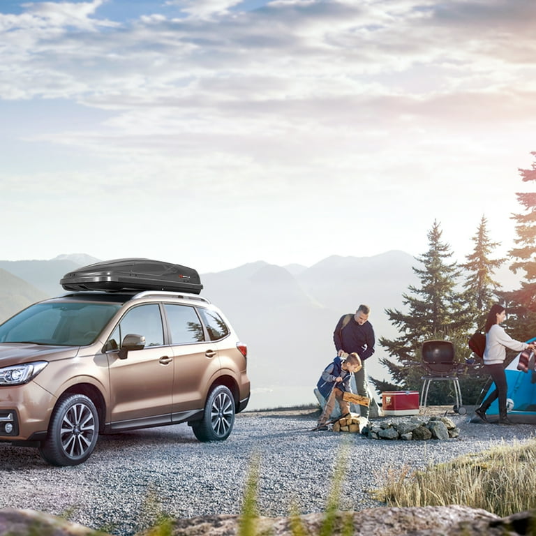 14+ Carnival Luxury Roof Box