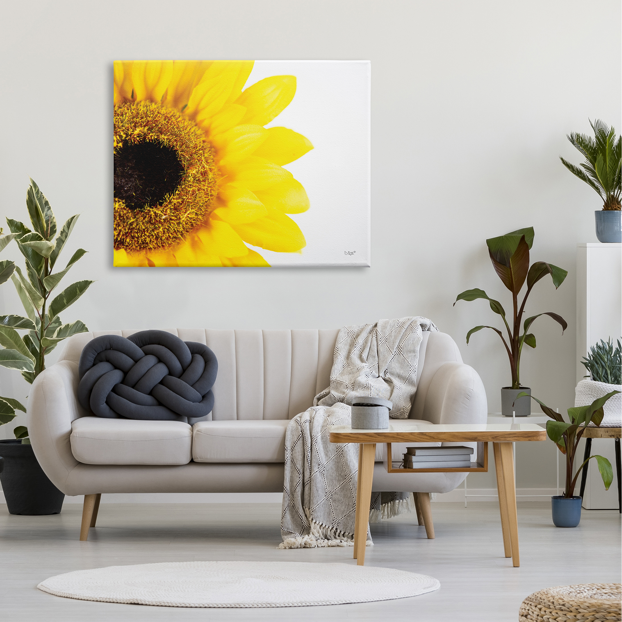 Stupell Industries Detail of Sunflower Disk And Petals Photograph,48 x 36, Design by Donnie Quillen