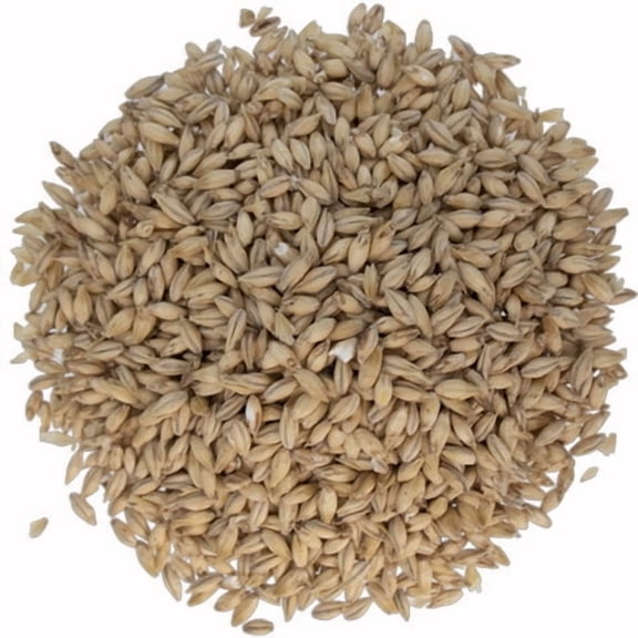Pilsen Malt 1.7°L for Brewing – Pilsner Base Malted Barley for Beer Making, Home Brewing & Mash Ingredients – 1 lb Whole Grain