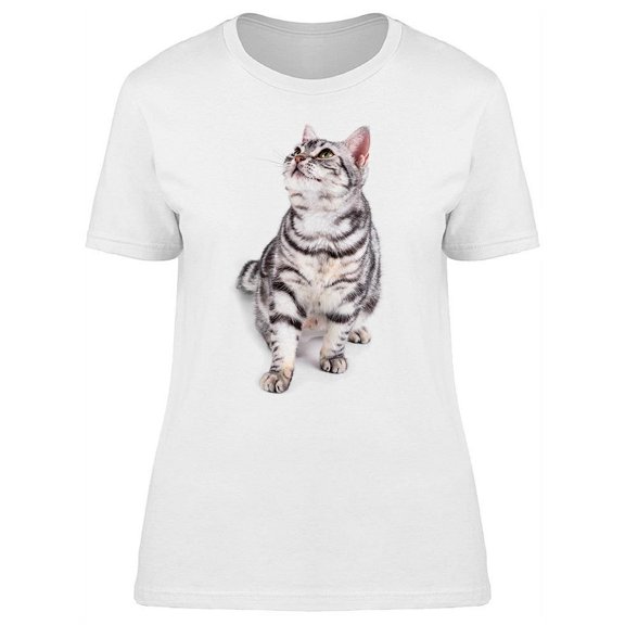 American Shorthair: Looking Up T-Shirt Women -Image by Shutterstock, Female x-Large