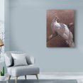 thumbnail image 3 of Trademark Fine Art 'Exotic Perch' Canvas Art by Michael Jackson, 3 of 3