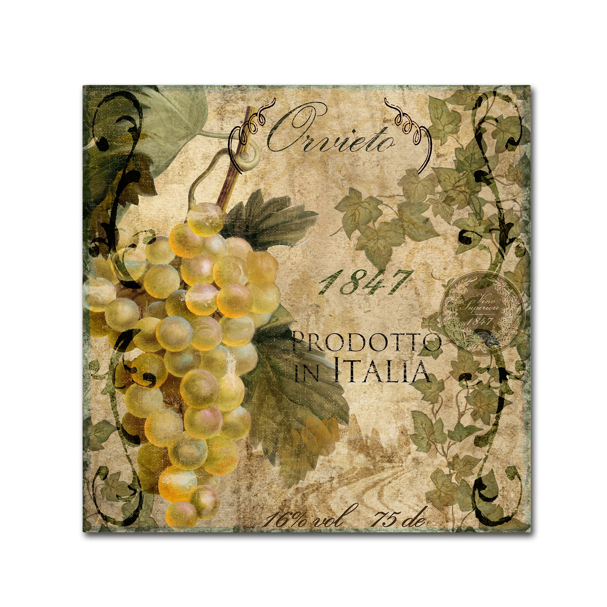 Trademark Fine Art "Vino Italiano IV" Canvas Art by Color Bakery