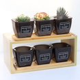 thumbnail image 4 of EIMELI EIMELI Succulent Flower Pots Automatic Water Absorption Flowerpot with Tray Plant Tool, 4 of 10