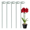 5 pcs Plant Support Stakes Garden Single Stem Support Stake Amaryllis Plant Cage Support Rings
