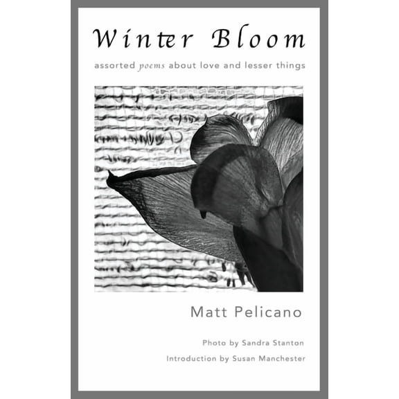 Winter Bloom, (Paperback)