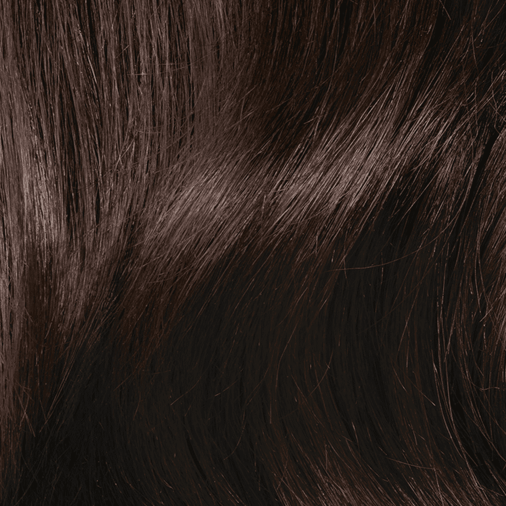 L'Oreal Paris Le Color Gloss One Step Toning Gloss Hair Color, 3 Cool Brunette, 4 fl oz