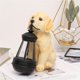thumbnail image 4 of Kearding Perro innovador Luz solar con energía solar Adorable Cachorro doméstico Estatuilla Decoración de jardín Resina Exterior Interesante Lámpara Iluminación y accesorios Kearding HA014887-00, 4 of 6