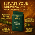 thumbnail image 4 of Apex Cultures Dry Brewing Yeast 500g Mexican Lager, 4 of 5