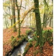 thumbnail image 3 of Woodland Duvet Cover Set, Misty Autumn Woodland Stream at Golitha Falls on Bodmin Moor in Cornwall, Decorative 3 Piece Bedding Set with 2 Pillow Shams, Queen Size, Orange Green Yellow, by Ambesonne, 3 of 3