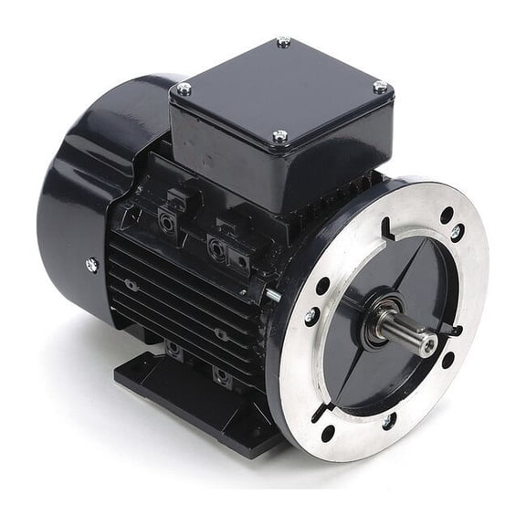 Leeson GP Motor,1/2 HP,1,695 RPM,230/460V AC,71 071T17FH5508