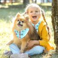 thumbnail image 5 of Easter Chiffon Yarn Dog Scarf Set of 2 - Translucent Light and Breathable Pet Collars 16x16x22.8in, 20.9x20.9x30in - Pack of Two, 5 of 5
