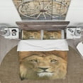 thumbnail image 2 of Designart 'Lion with Calm Face' Animal Bedding Set - Duvet Cover & Shams, 2 of 4