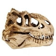 thumbnail image 4 of UDIYO Individuality Unique Resin Dinosaurs Skull Model for Indoor, 4 of 7
