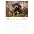 thumbnail image 6 of A Year of Dapper Dachshunds (Monthly Wall Calendar 2026 11.7 x 16.5 (open)), CALVENDO 14 Month Calendar, 6 of 9