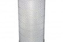 Baldwin 高耐久 RS4993 ラジアルシール空気エレメント トックブランシュ マンゴー 3L 3000ml ドーバー 日本 濃縮果汁 エキス