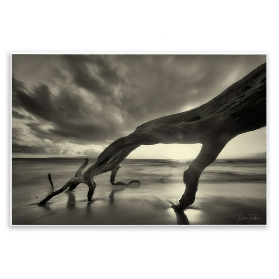Stupell Industries Tree Trunk on Shore Landscape Photography Unframed Art Print Wall Art, 15 x 10