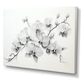 thumbnail image 2 of Designart "Tranquil Black And White Orchid II" Orchids Canvas Art Print, 2 of 7
