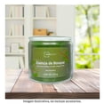 thumbnail image 4 of Vela Mainstays Esencia de Bosque 420 G, 4 of 4