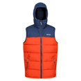 thumbnail image 1 of Regatta - Veste sans manches NEVADO - Homme, 1 of 5
