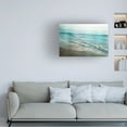 thumbnail image 3 of James Wiens 'Summer Birches' Canvas Art, 3 of 3