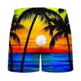 thumbnail image 3 of DeHolifer Shorts for Men Plus Size Hawaii Printed Elastic Waisted Drawstring Loose Summer Beach Loungewear Shorts with Pocket Blue L, 3 of 3