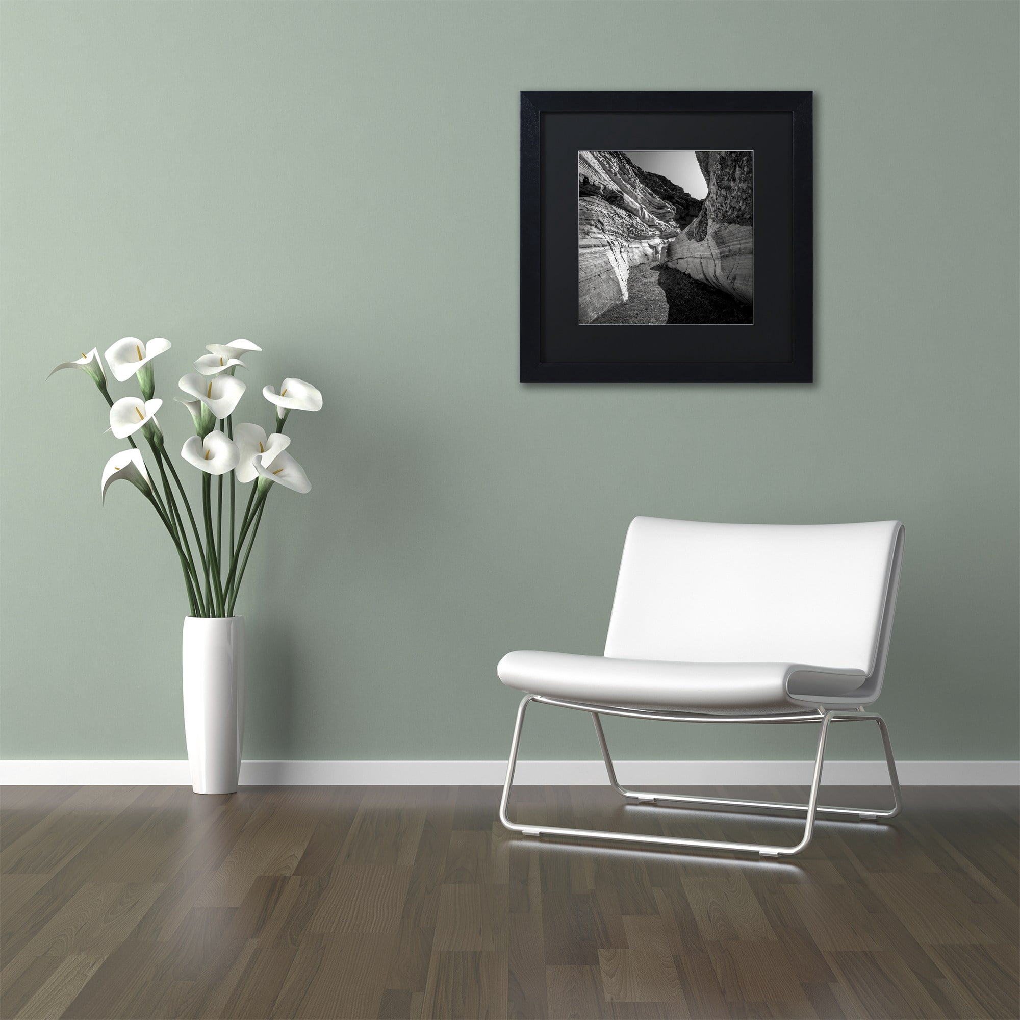 Trademark Fine Art "Yin Yang" Canvas Art by Dave MacVicar, Black Matte, Black Frame