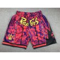 thumbnail image 1 of Mcgee'S Raptors Retro Embroidered Zipper Pocket Shorts Basketball Embroidered Shorts, 1 of 2