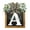 A, variant on Front Door Wreath,Wreaths for Front Door,2026 New Last Name Year Round Front Door Wreath, Last Name Year Round Front Door Wreath Decorative, Hanging Plaques In Front Of The Door 12IN(Z)
