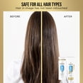 thumbnail image 3 of Set de champú y acondicionador Pantene Classic Clean 2 en 1, 3 of 9