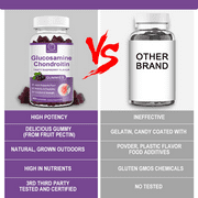 Glucosamine Chondroitin Gummies with MSM & Elderberry – Joint Support & Mobility Complex, 60 Count