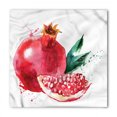 thumbnail image 1 of Fruit Bandana, Hand Drawn Watercolor, Unisex Head and Neck Tie, by Ambesonne, 1 of 2