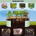 thumbnail image 4 of Raised Garden Bed – 2-Pack Galvanized Heavy Duty – 2x2x1FT – Rust-Resistant, Rounded Corners & Open Bottom – Vegetables, Flowers & Herbs, 4 of 8