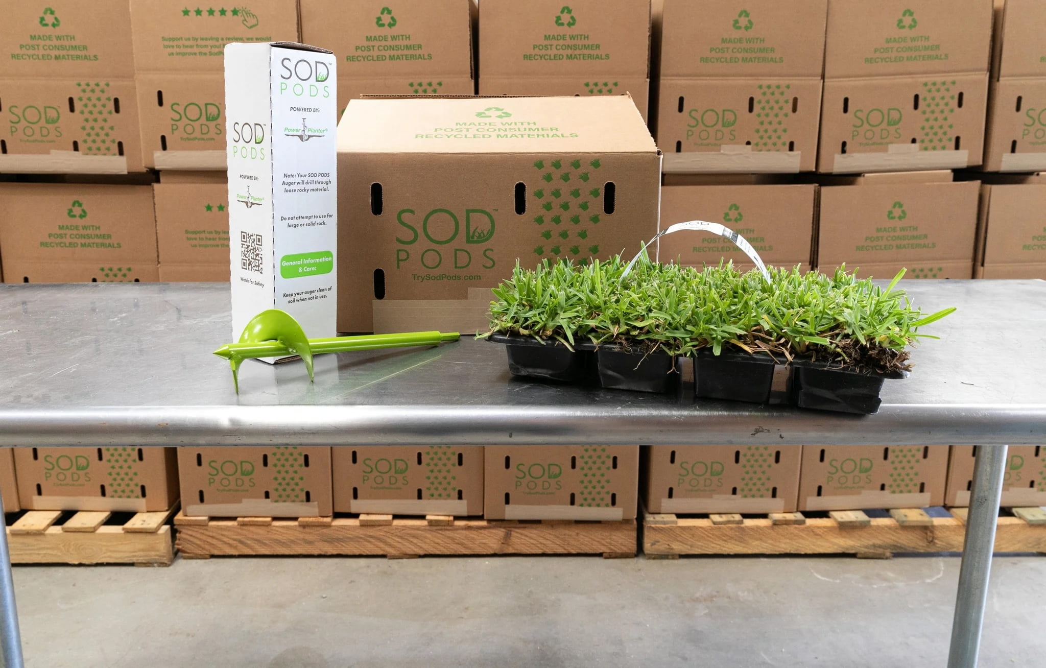 SodPods St Augustine Palmetto (32-Count)/SP Power Planter Bundle, Natural Affordable Lawn Improvement