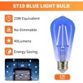 thumbnail image 2 of shiyou-ST19/ST58 Vintage Edison Bulbs, Decorative String Light Bulbs, 2W(25W Equivalent), E26 Base, 2700K 40LM Blue LED Filaments, Non-Dimmable, 6 Pack, 2 of 4