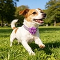 thumbnail image 4 of LLDYYDS Cute Dog Collar with Bling Rhinestone, Fancy Diamond Glitter Pretty Jewel Soft Cat Collars for Small Medium Large Breed Dogs Girl XS, 4 of 6