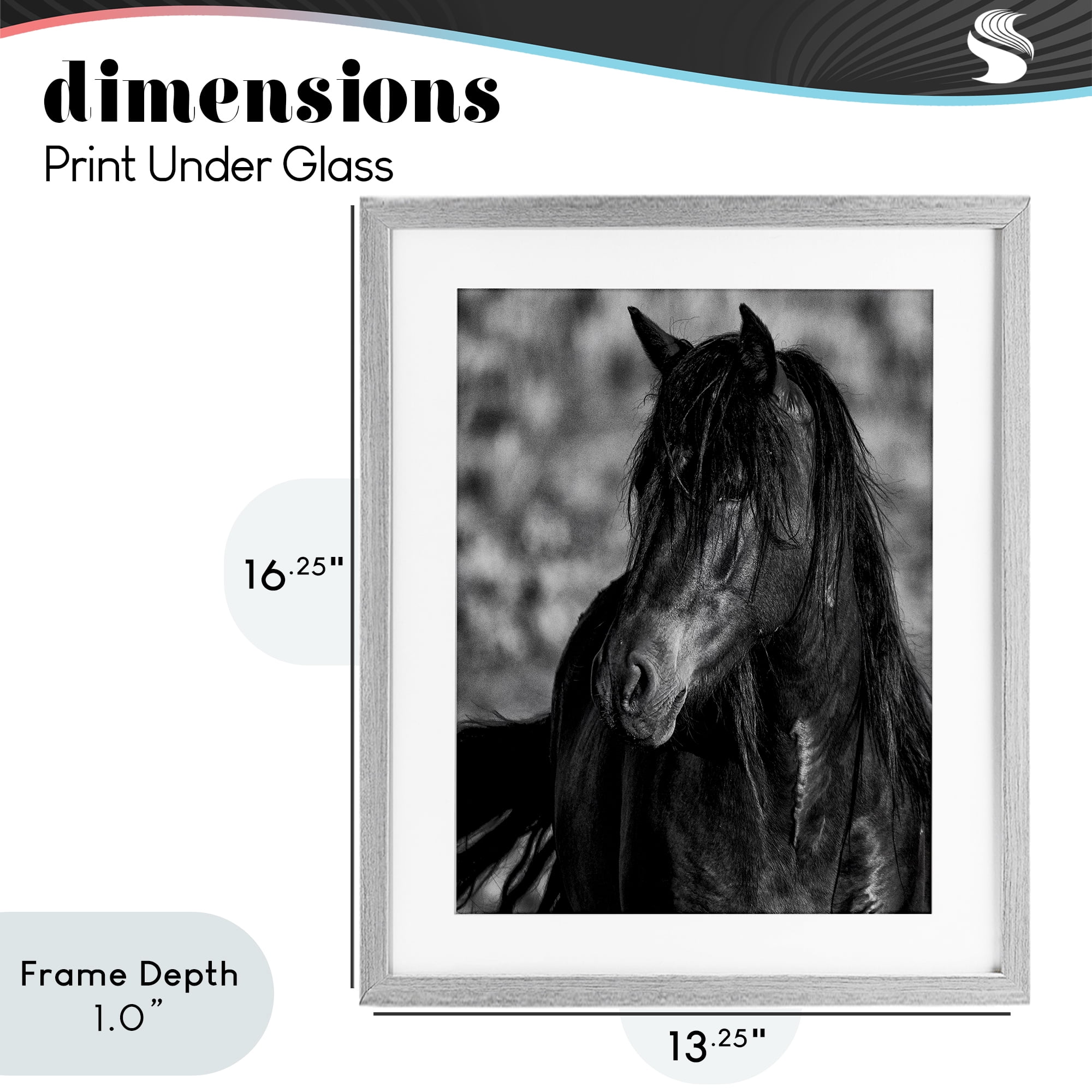 Stupell Industries Beauty In Black Gray Framed Print Under Glass, design by Tim West