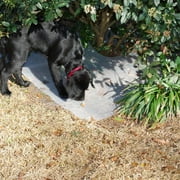 Play Safe Pets No-Dig Plant/Yard Guard