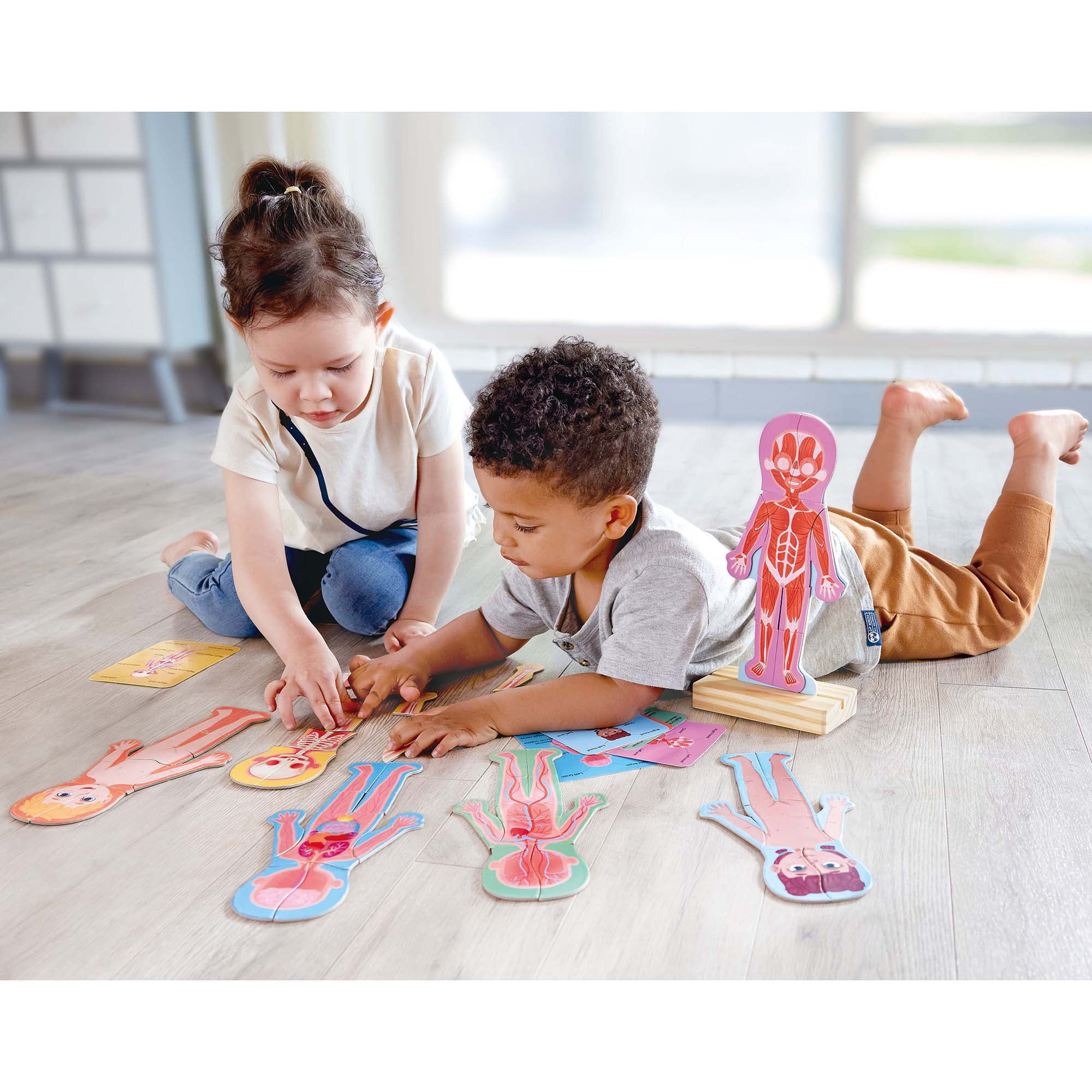 Hape: Human Body Magnetic Puzzle - 68pc - 6 Human Anatomy Cards, Colorful Magnet Jigsaw Pieces, Boy & Girl, Skeleton, Preschool Learning, Kids Ages 3+