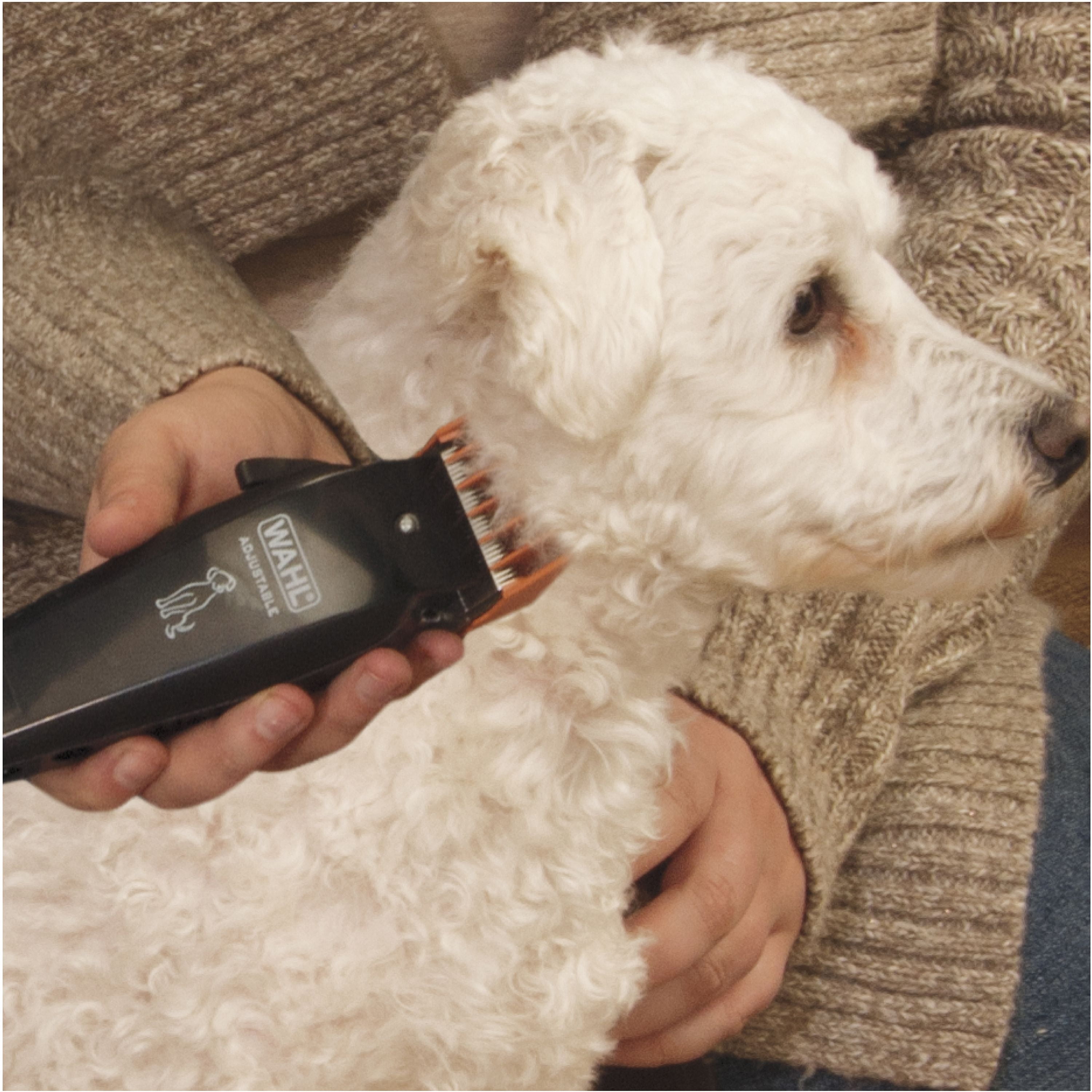 walmart dog clipper