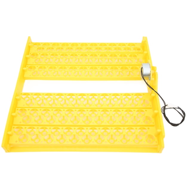 Bandeja de incubación de huevos totalmente automática HollowStyle para pollos, patos y codornices.