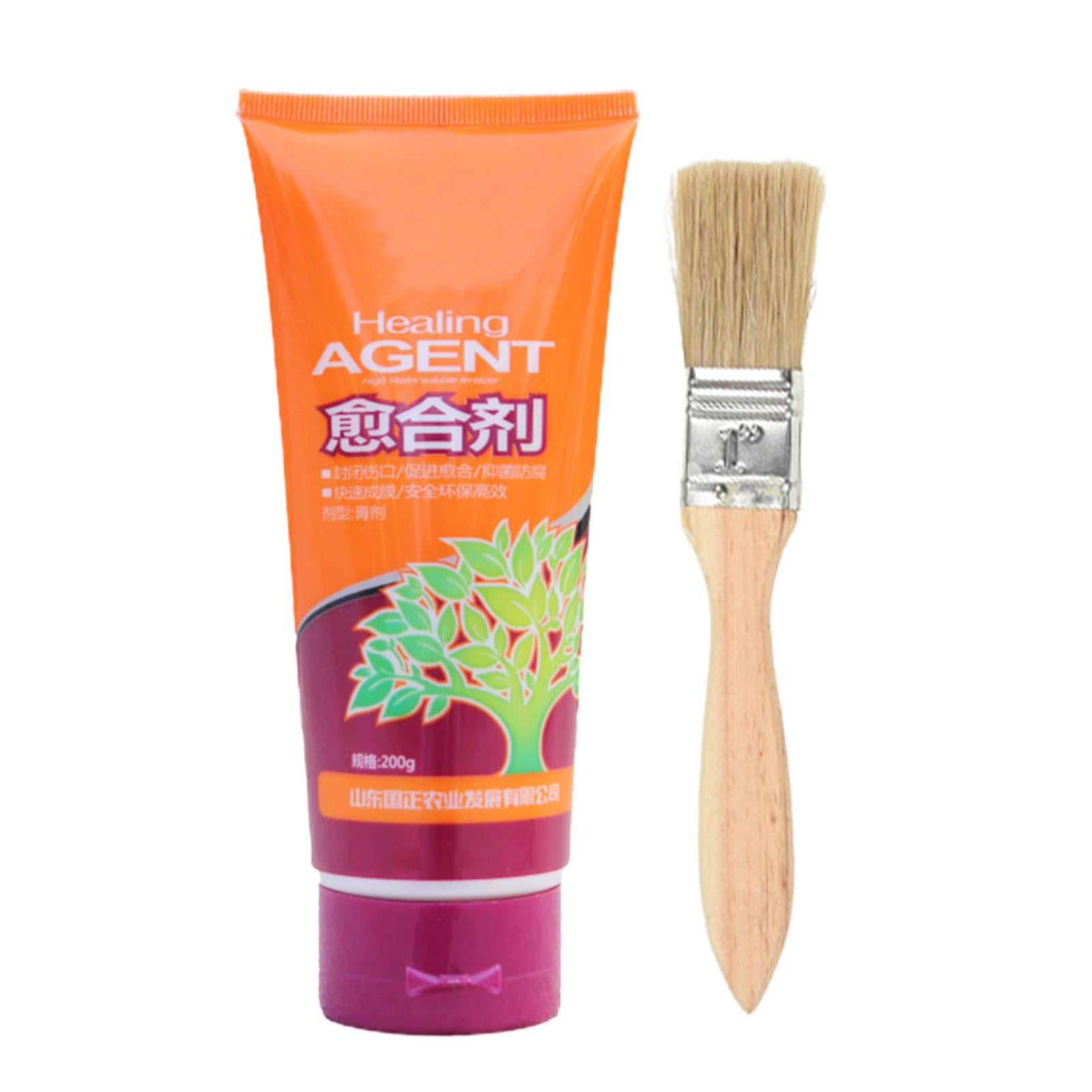 AIXING Tree Wound Sealer Tree Wound Healing Sealant 200g Plant