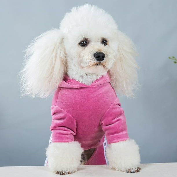 Dog clothes for top small dogs boy