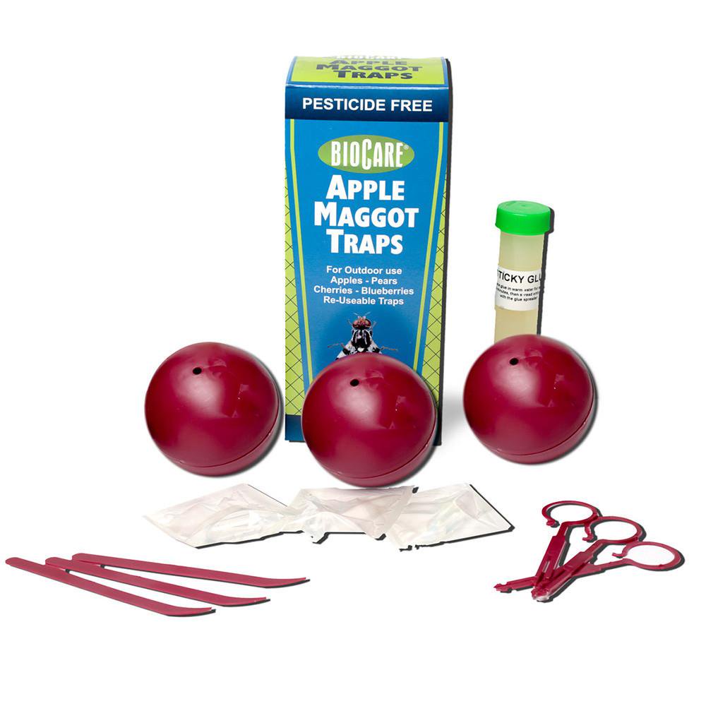 BioCare Reusable Outdoor Apple Maggot Traps with Lures, 3 Count